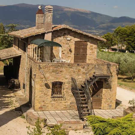 Country House Carmelita Limigiano 외부 사진