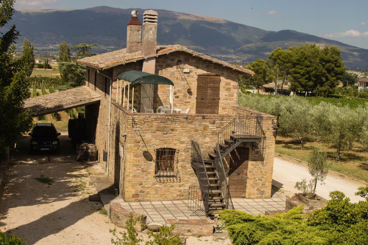 Country House Carmelita Limigiano 외부 사진